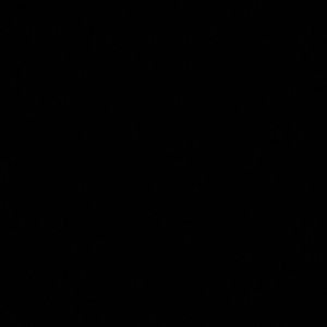 Meet your Posher, Samrawit